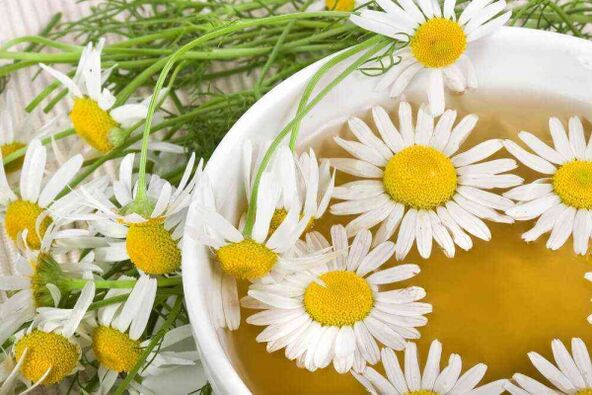 decoction of chamomile to increase activity