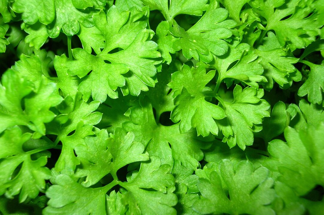 parsley to increase activity